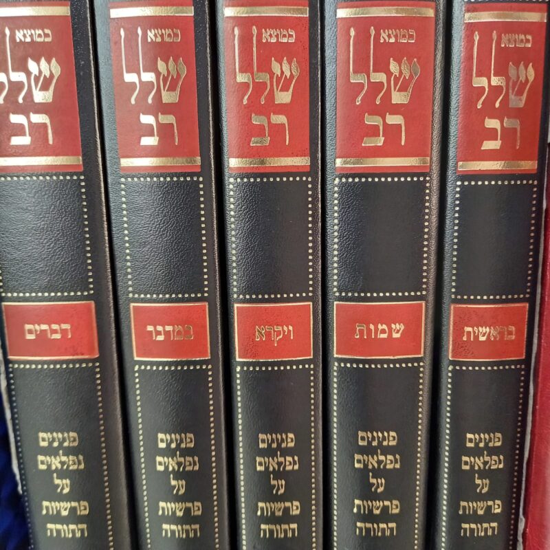 שלל רב על התורה 5 כרכים