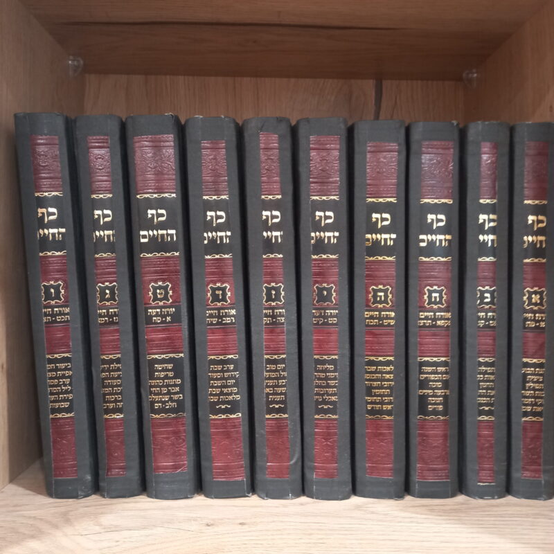 כף החיים החדש