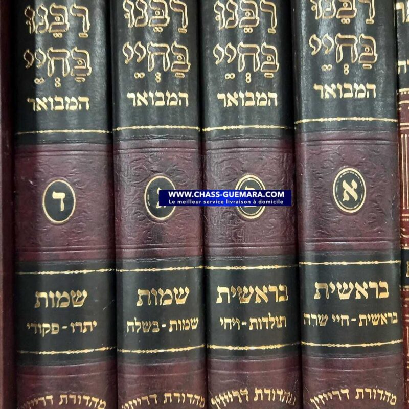 רבינו בחיי
