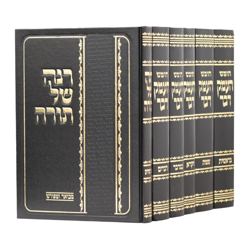 העמק דבר סט ו”כ