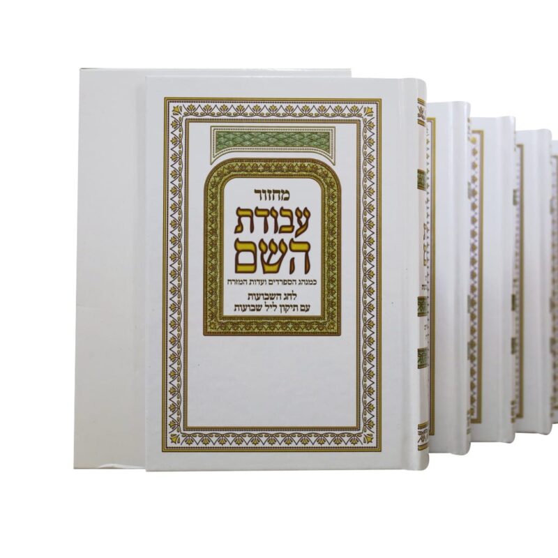 1lot de 5 series mahzorim avodat hachem ~277 pound
