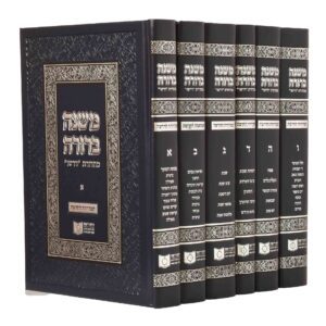 משנה ברורה דירשו